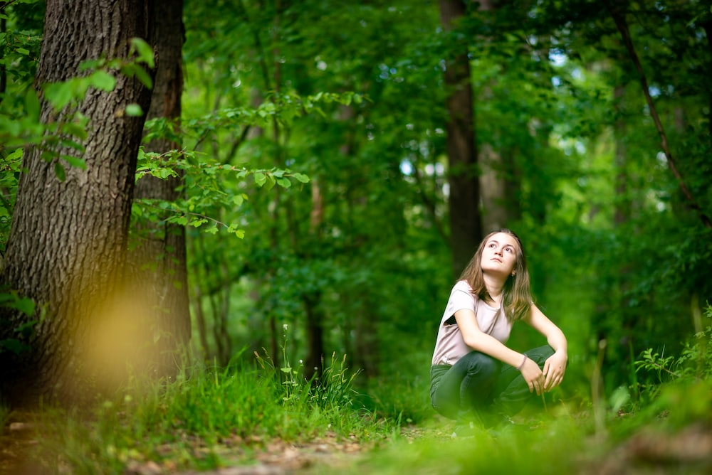 A person sitting in the forest observing tall trees